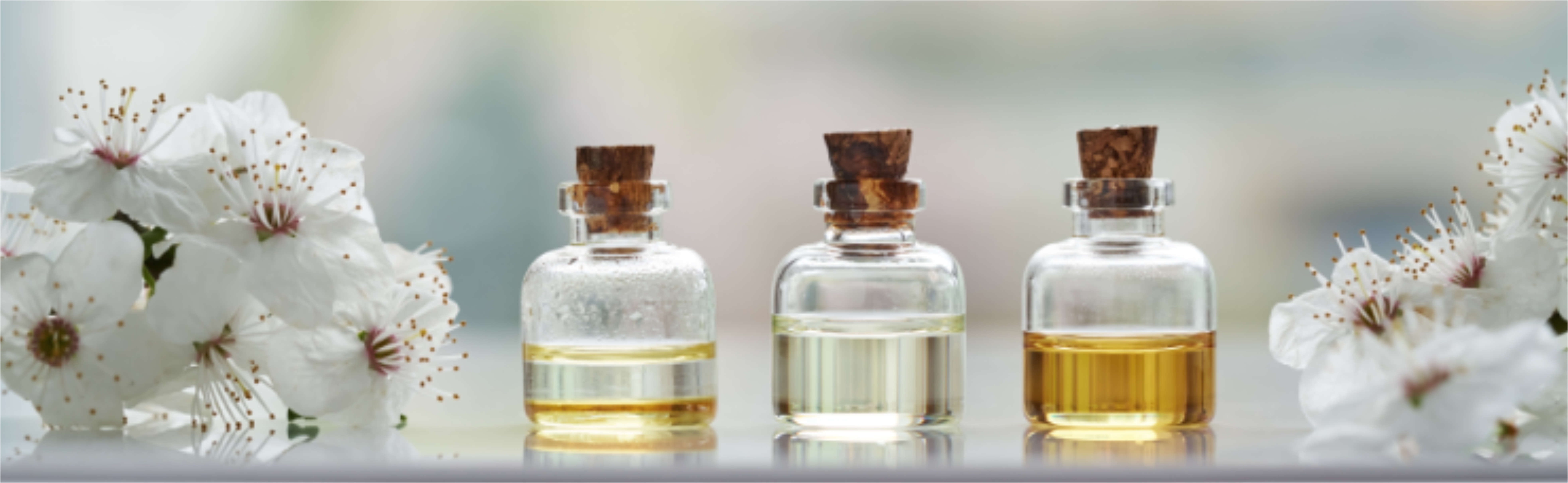 Öle_institut-langegger